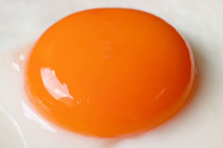 egg-yolk-color